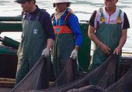Japan and South Korea Spar Over Seafood